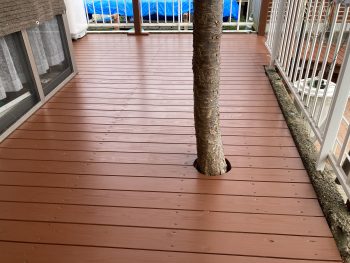 桜のためにウッドデッキにちょうどいい穴をあけました！